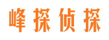 珠山市侦探调查公司